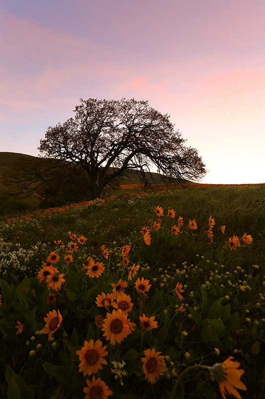 exposure bracketing