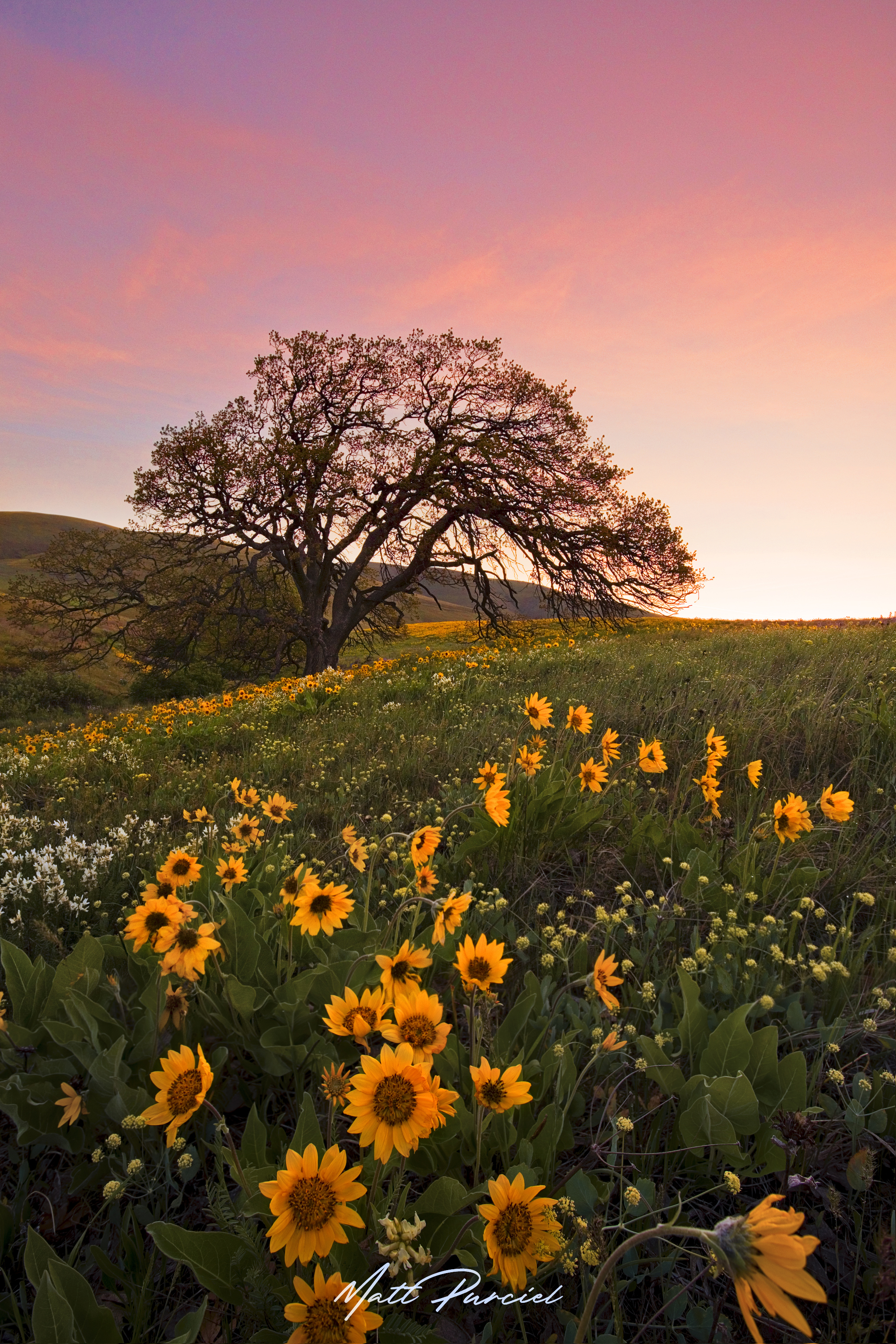Final columbia hills photograph with lightroom edits