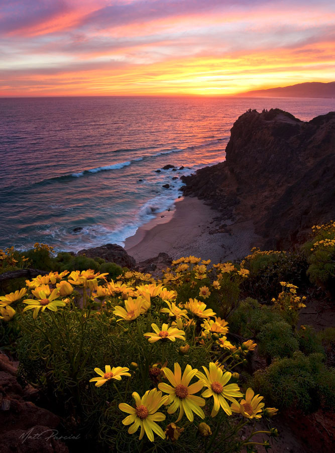 Malibu Beach Sunset California